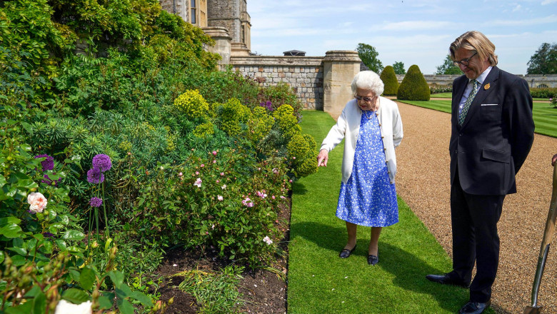 În ziua în care prințul Philip ar fi împlinit 100 de ani, Regina Elisabeta a plantat un trandafir cu numele său