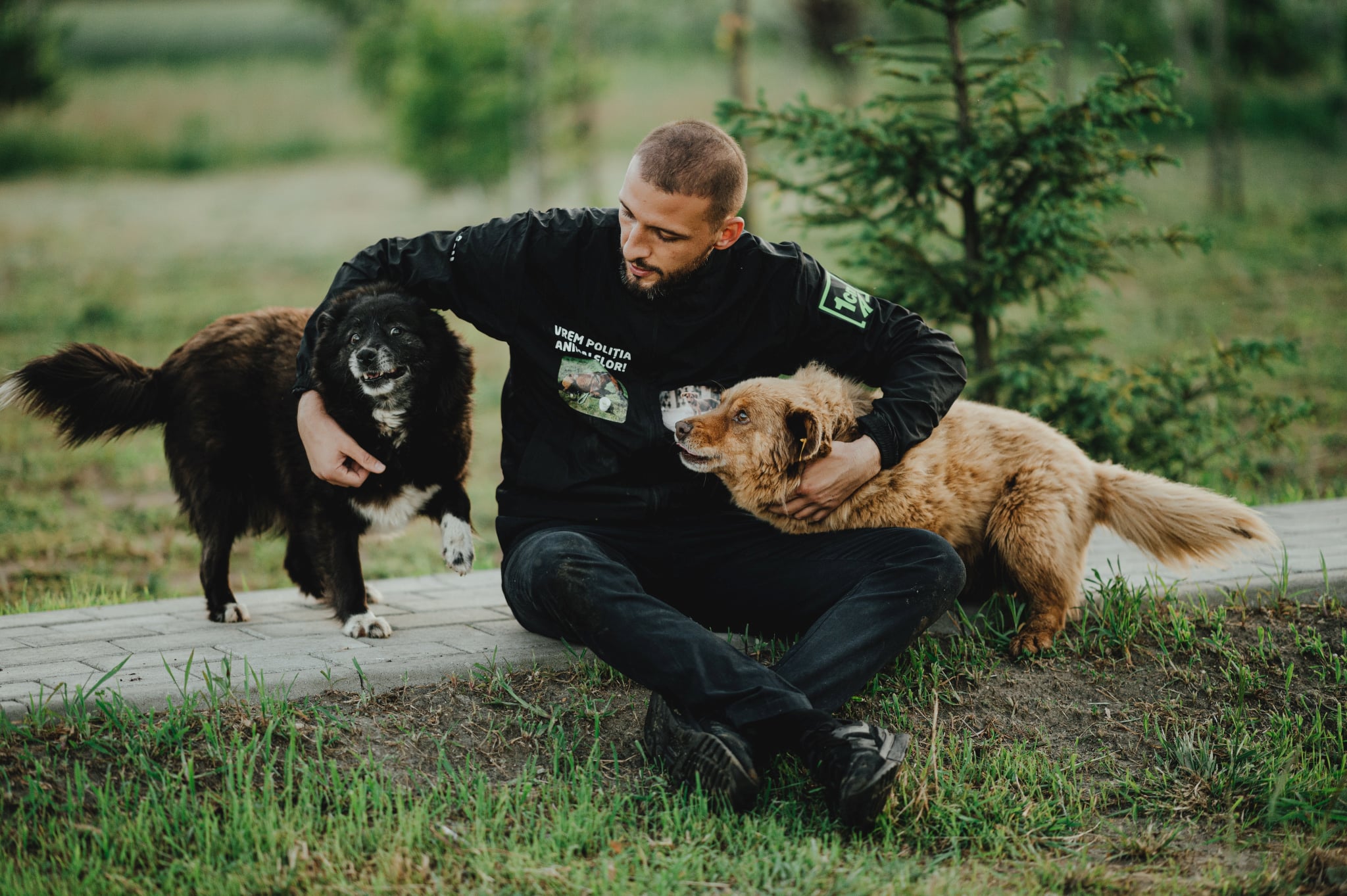 Decizie în premieră. Ștefan Mandachi primește daune după ce a dat în judecată statul că nu a rezolvat problema animalelor schingiuite