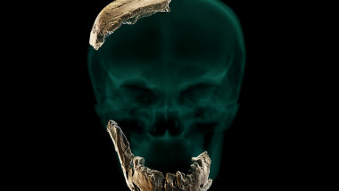 profimedia-Nesher Ramla craniu 3d