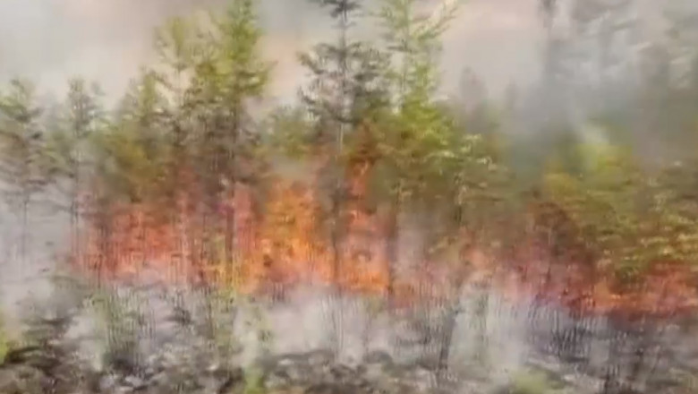 incendii de vegetatie in siberia