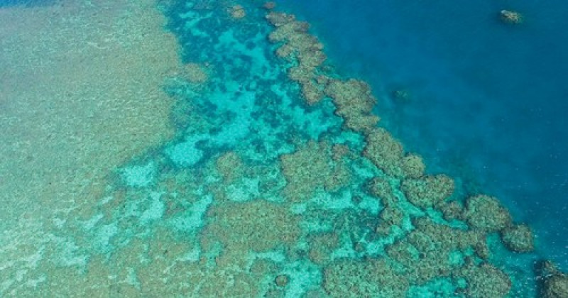 AUSTRALIA QUEENSLAND GREAT BARRIER REEF