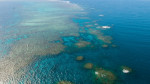 Marea Barieră de Corali