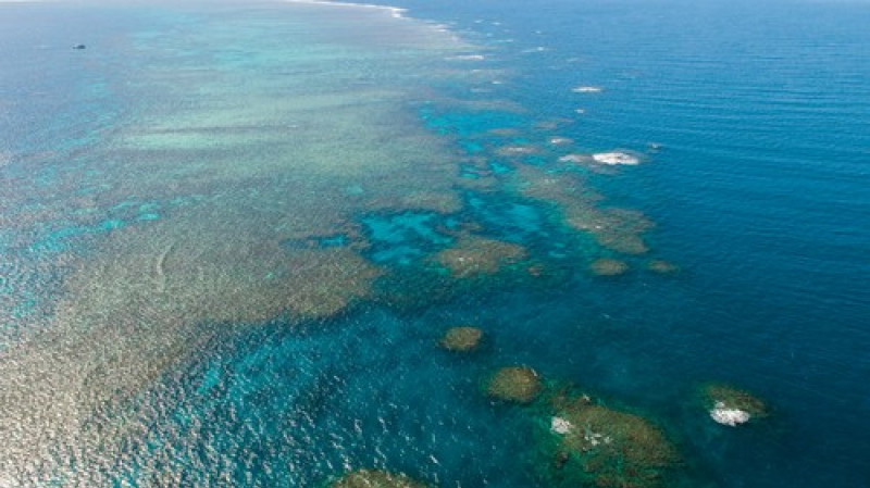 Marea Barieră de Corali