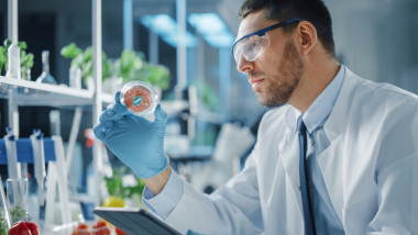 Om de știință studiază o mostră de carne produsă artificial, în laborator