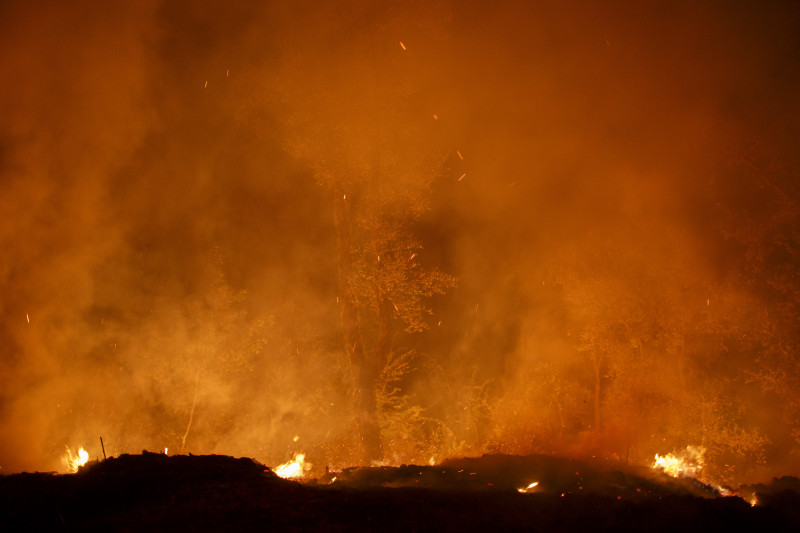 Incendii în portugalia în 2017