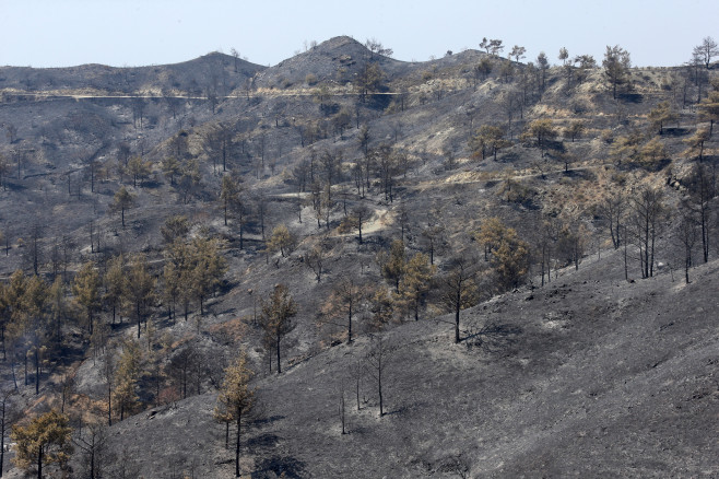 Wildfires in Cyprus