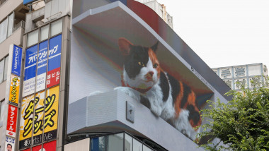 reclama cu o pisica 3d uriasa pe un bloc din tokyo