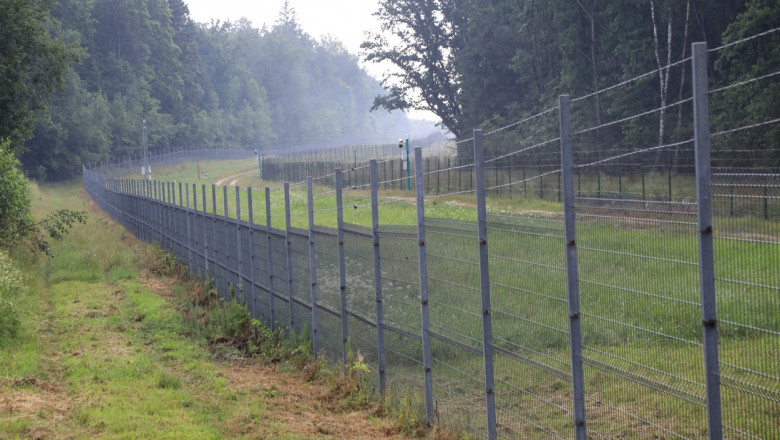 Gard cu sârmă ghimpată care separă o zână cu câmp și o pădure