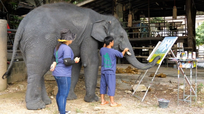 Un elefant pictează tablouri care se vând cu sute de lire sterline.