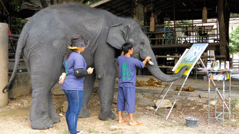 Un elefant pictează tablouri care se vând cu sute de lire sterline.