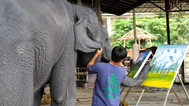 Un elefant pictează tablouri care se vând cu sute de lire sterline.