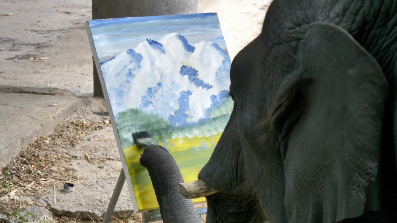 Un elefant pictează tablouri care se vând cu sute de lire sterline.