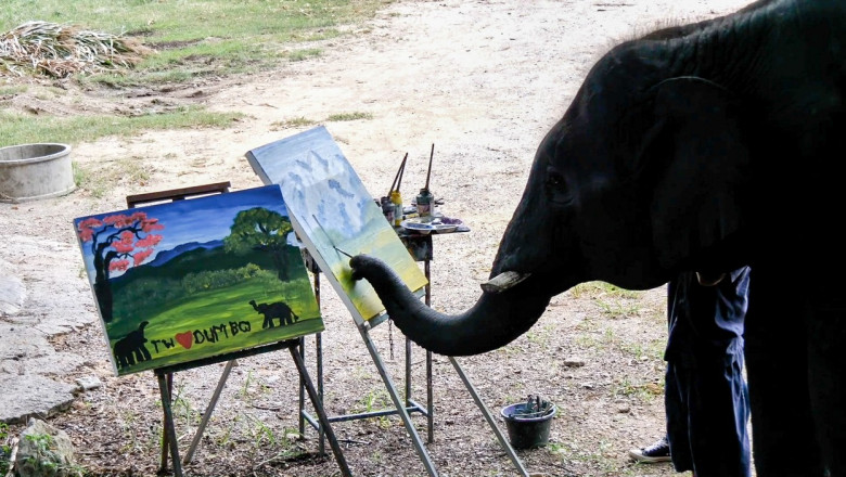 Un elefant pictează tablouri care se vând cu sute de lire sterline.