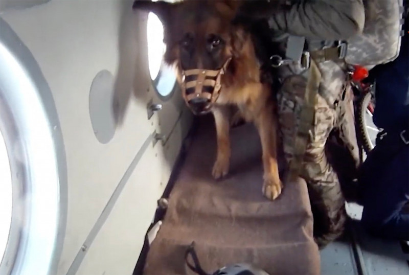 Putin’s dogs of war parachute into ​battle zones in latest Russian military tests