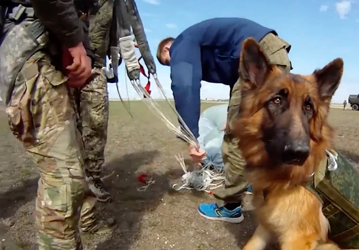 Putin’s dogs of war parachute into ​battle zones in latest Russian military tests