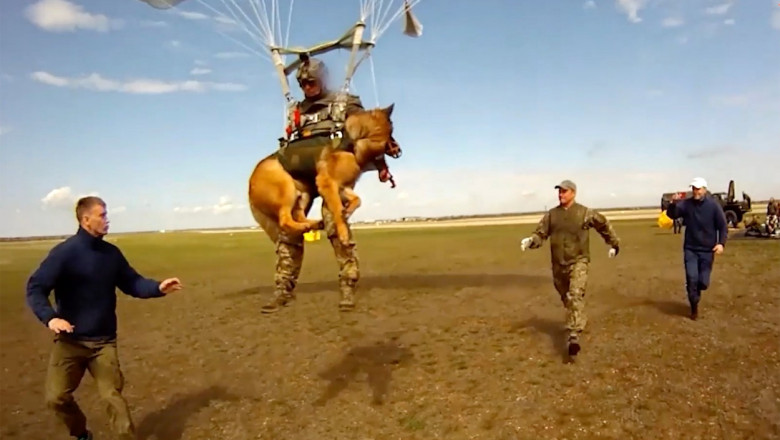 Exercițiu militar cu câini antrenați să sară cu parașuta, în Rusia.
