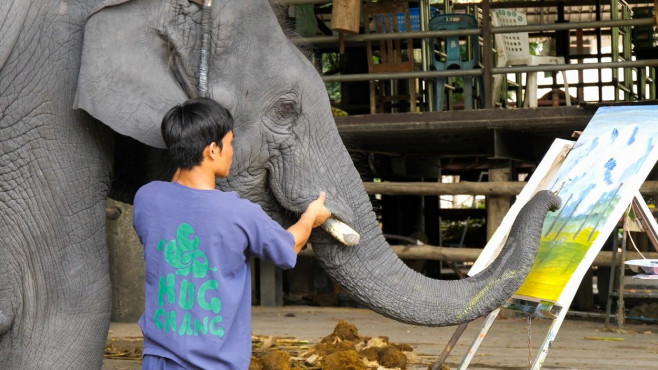 Un elefant pictează tablouri care se vând cu sute de lire sterline.