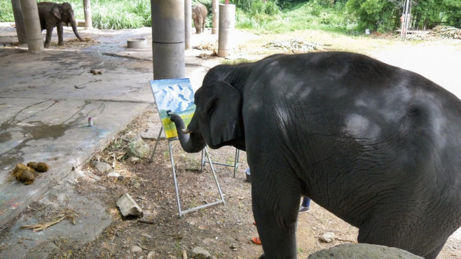 Un elefant pictează tablouri care se vând cu sute de lire sterline.