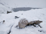 Naturally preserved ancient human skeletons under snow found beside high altitude alpine Roopkund lake in Indian Himalayas.