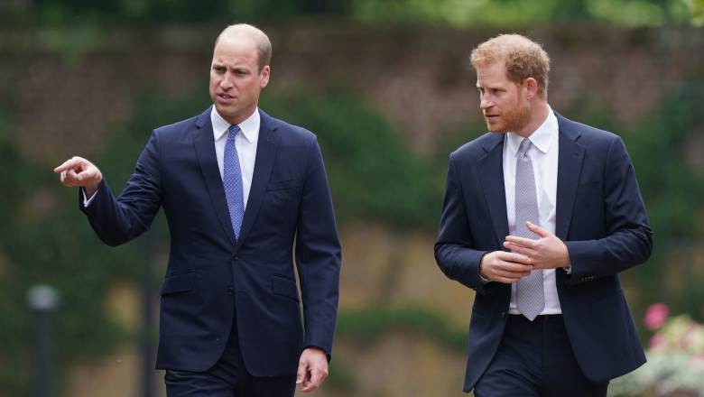 william si harry vorbesc in timp ce merg spre statuia mamei lor