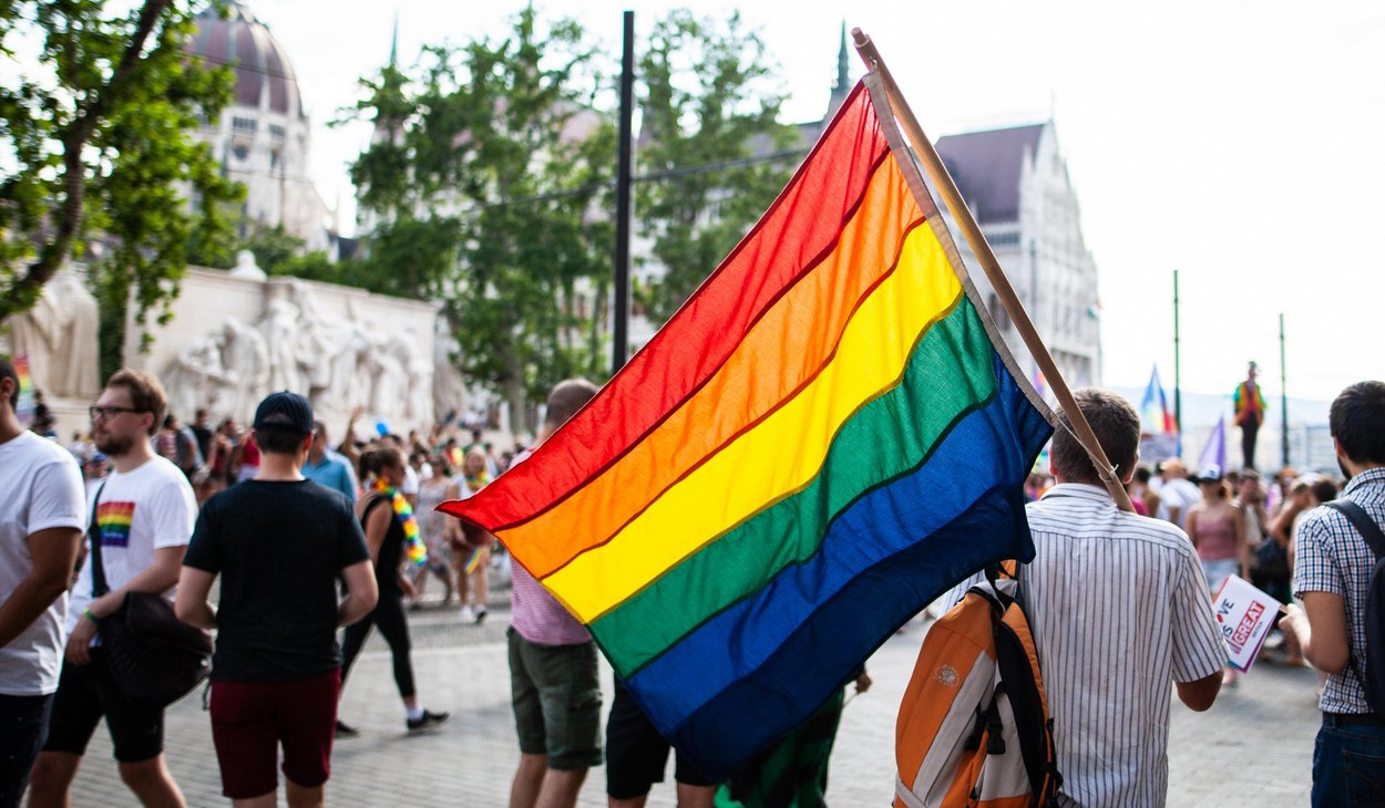 Parlamentarii canadieni au votat în unanimitate interzicerea „terapiei de conversie” în cazul comunității LGBTQ