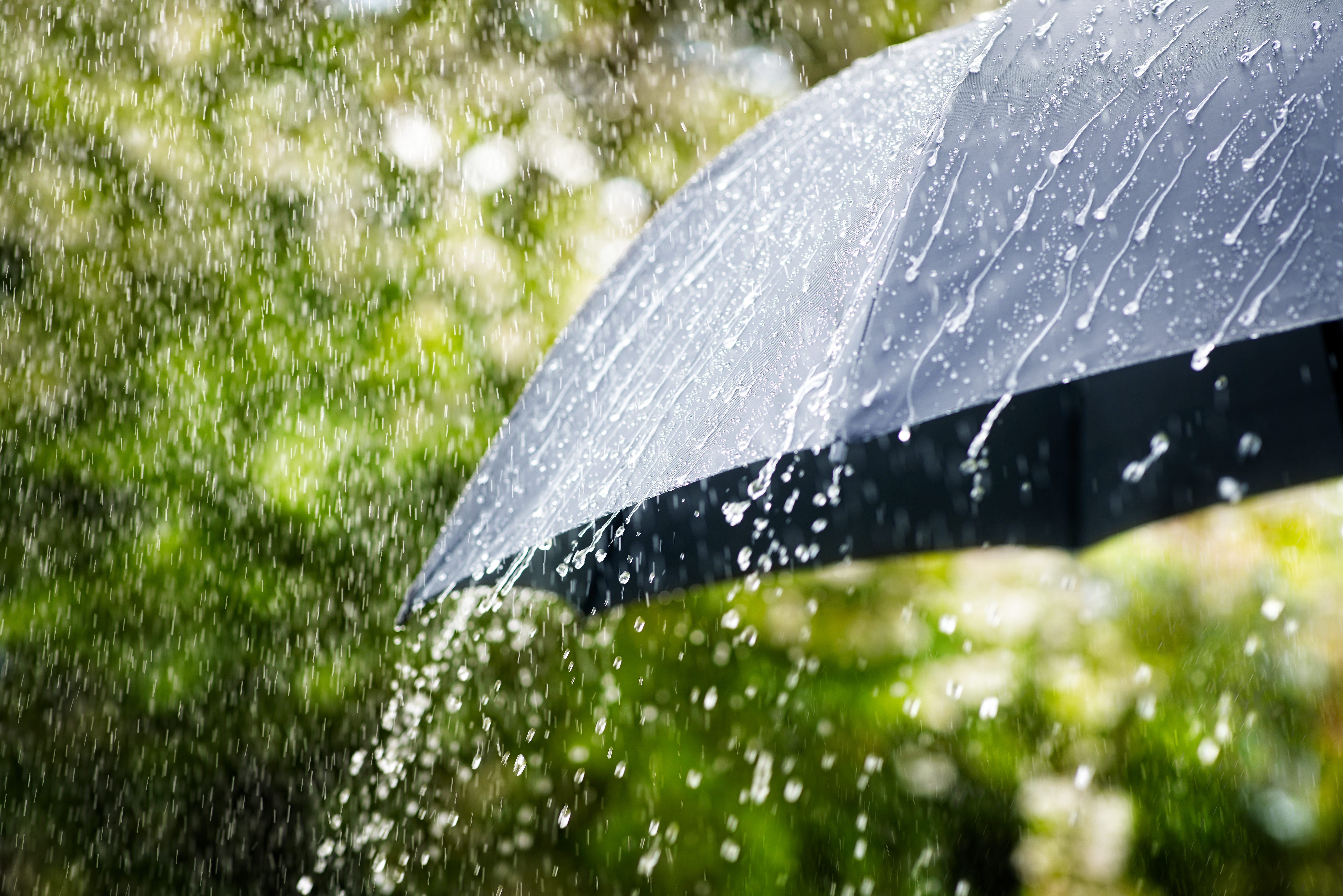 Avertizare meteo de vreme rea. Zonele afectate de ploi și vânt puternic