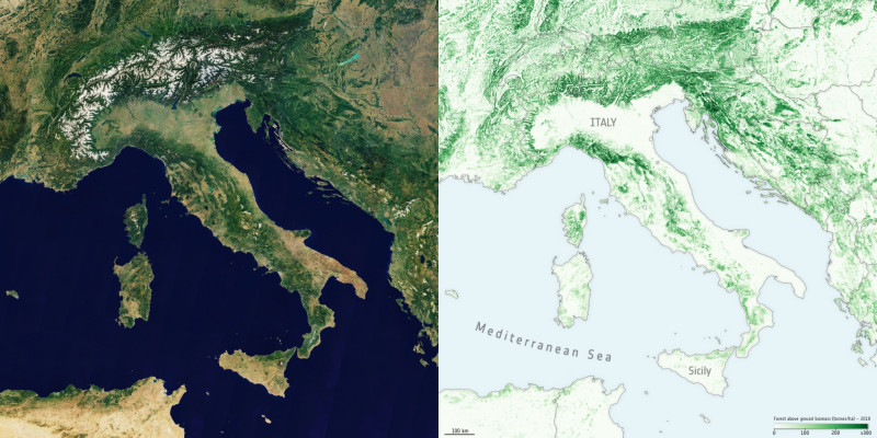 hartă cu pădurile europei