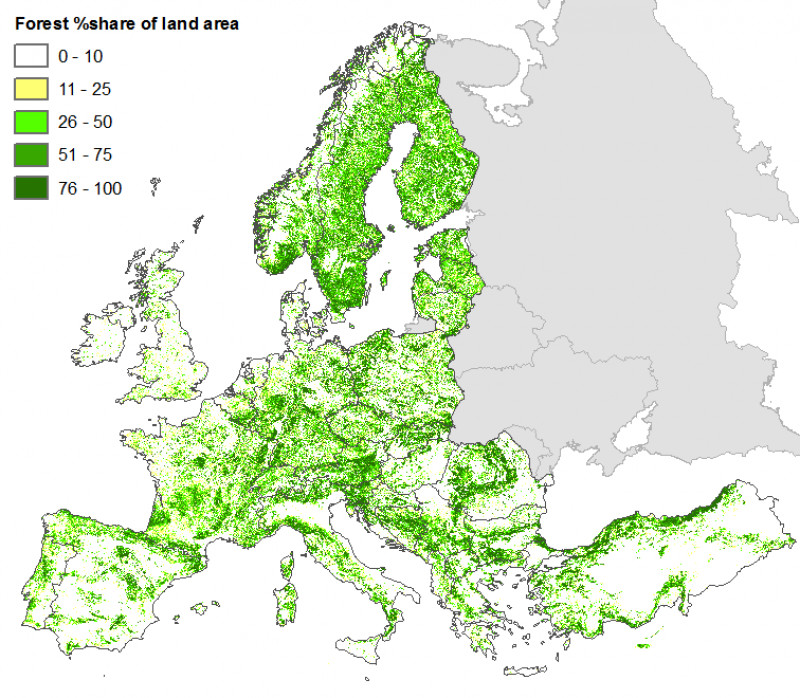 pădurile europei