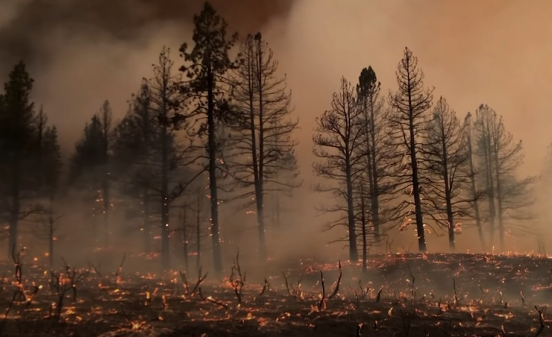 california-incendii-abcnews-crop1