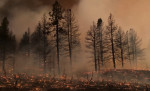 california-incendii-abcnews-crop1
