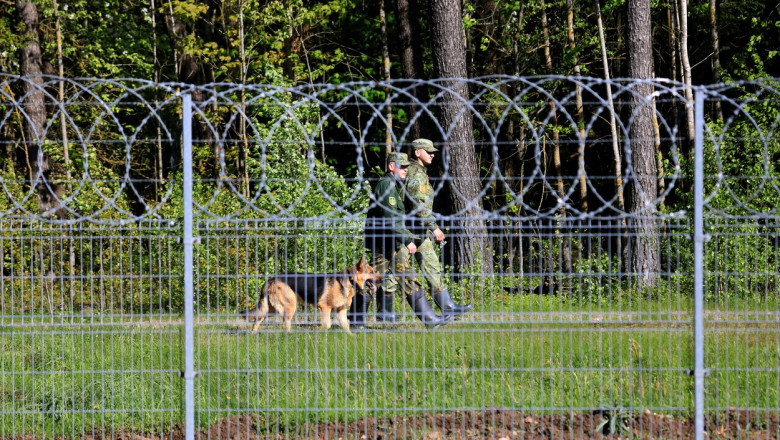 Polițiști de frontieră cu un câine la granița dintre Belarus și Lituania