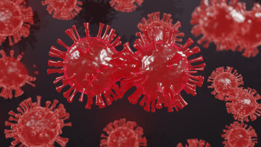 grafica pentru mutatia suferita de coronavirus