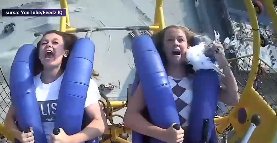 VIDEO. Senzații tari în roller coaster: un pescăruș se agață de gâtul unei tinere