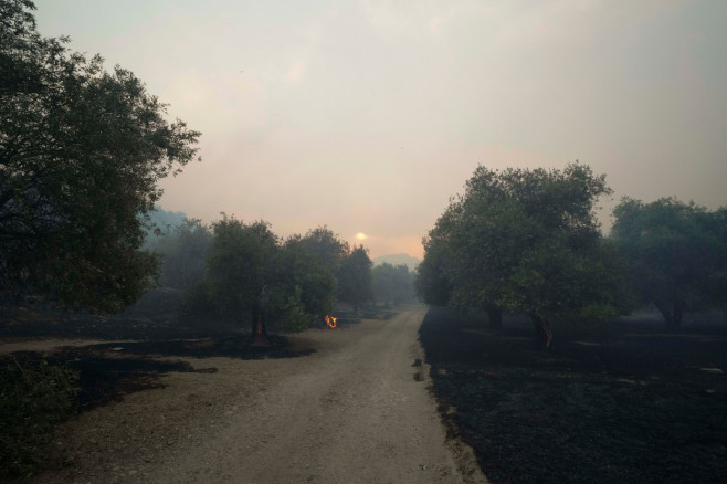 Incendii care devastează o parte a insulei Sardinia