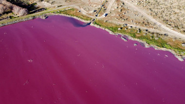 lac de culoare roz