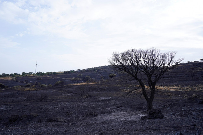 incendiu sardinia