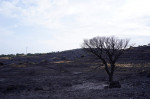 incendiu sardinia