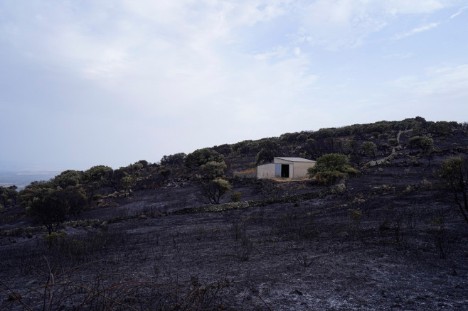 incendiu sardinia