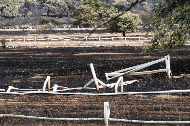 incendiu sardinia