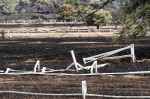 incendiu sardinia