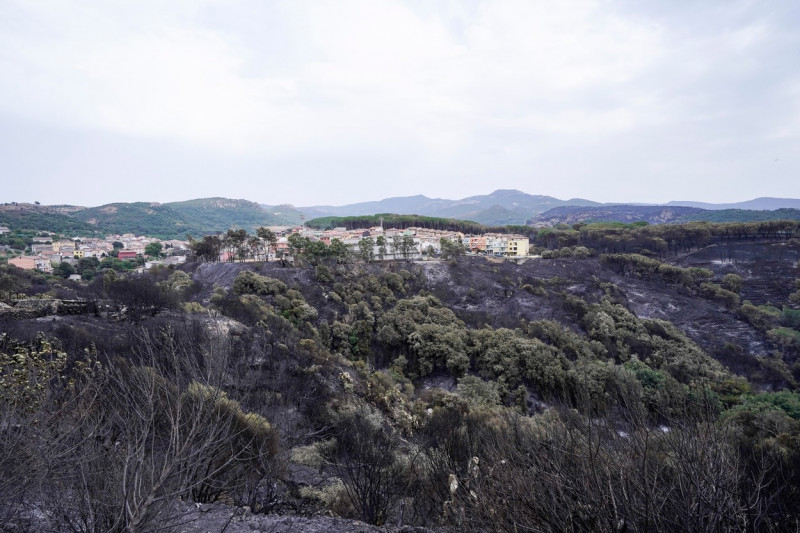 incendiu sardinia