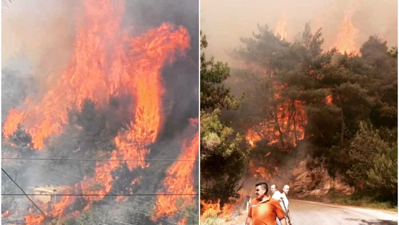 Incendiul din nord Libanului. Foto colaj: