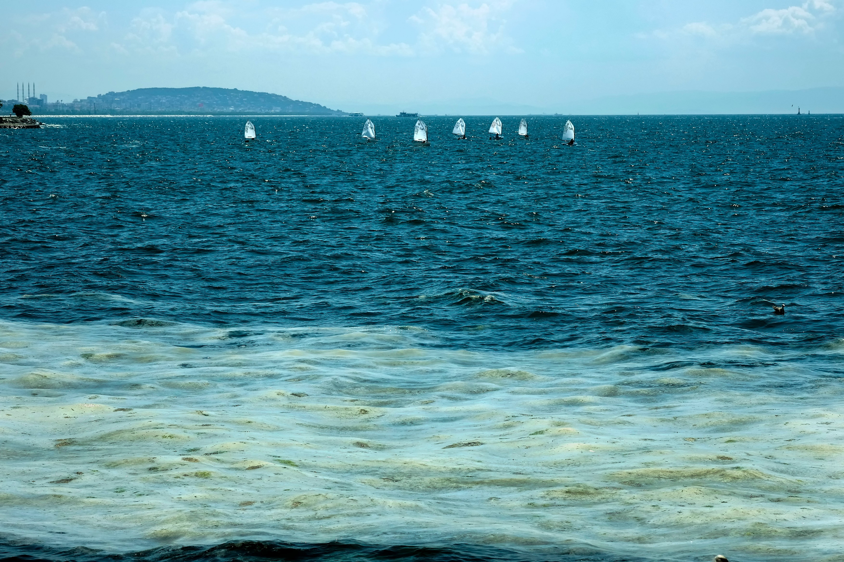 Marine mucilage in Marmara Sea