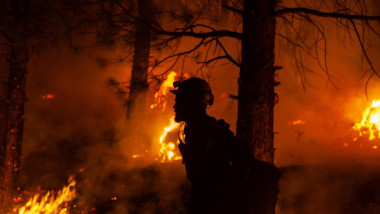 pompier într-o pădure în flăcări