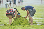Invazie de alge pe plajele din provincia chineză Qingdao.