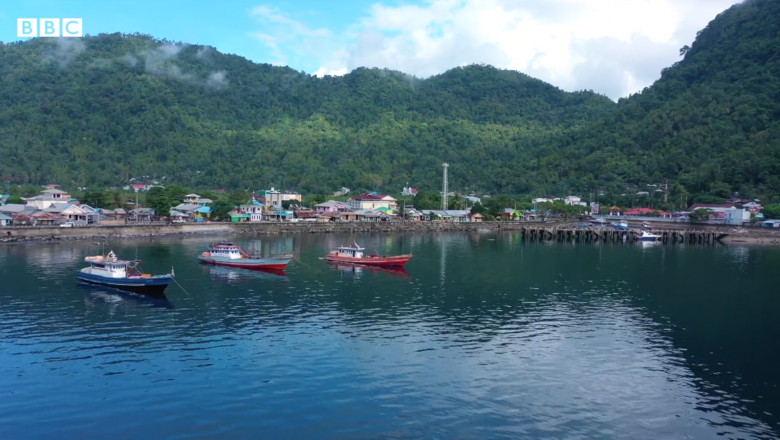 insula saighe din indonezia