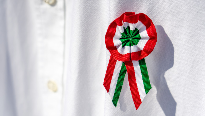 cocarda prinsa in camasa cu tricolorul ungariei