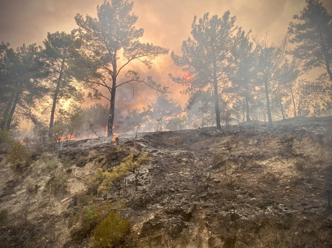 incendii turcia profimedia-0624411971