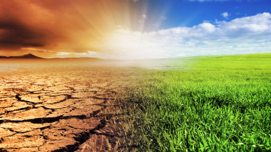 imagine sugestivă cu deșert și iarbă, care sugerează efectul schimbărilor climatice