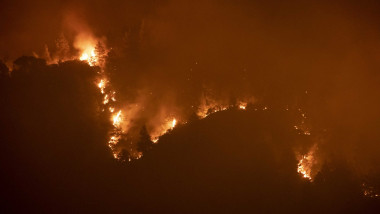 Flăcări puternice pe dealuri în insula Evia din Grecia în 2021